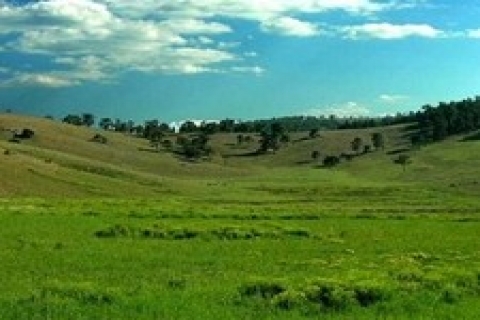 Atıl durumdaki okul arazileri eğitime kazandırılacak!