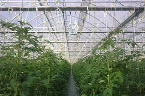 Smyrna Seracılık üretim kapasitesini 114 bin metrekare artırıyor!