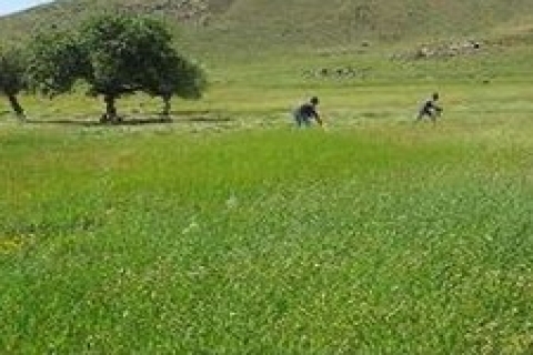 Nüsa Uğur: Devlet, milletin arazisini kayıt altına aldı