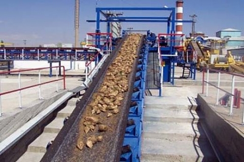 Şeker fabrikaları arsaları için özelleştirilmiyormuş!