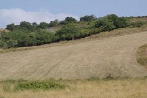 Eğirdir Belediyesi 25 arsayı satışa sundu!