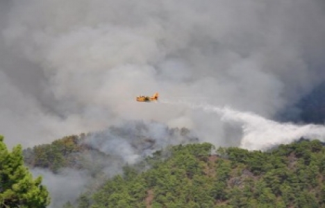 Alanya'da 100 hektarın kül olduğu yangın devam ediyor!