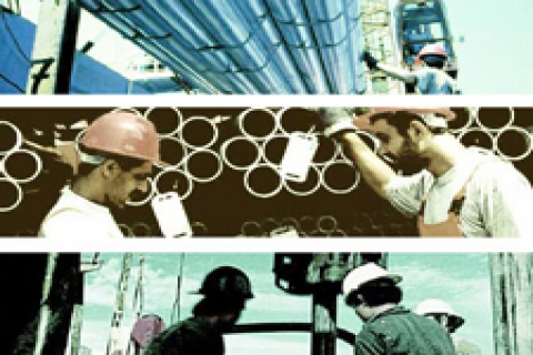 Borusan Enerji'ye Alman ortak