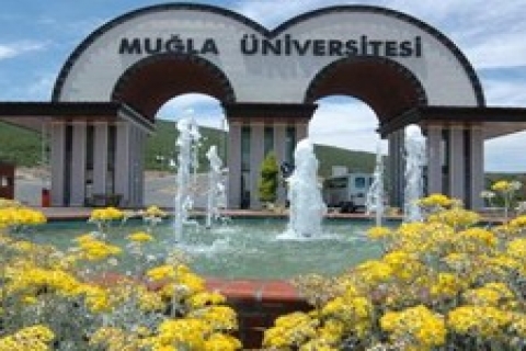 Muğla Üniversitesi mühendis akademik personel alacak!