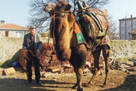 İstanbul'un merkeze yakın 151 köyü var!