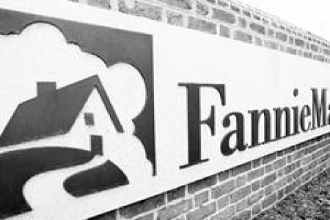 Fannie Mae ve Freddie Mac iflastan kurtulmaya çalışıyor
