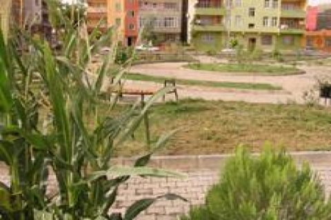 İmara açılan Atakent parkındaki yeşil alan kayboluyor