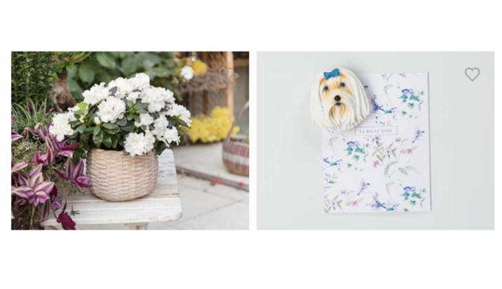 Madame Coco da bomba Anneler Günü kampanyası başladı! 4.293 üründe sepette yarısını öde fırsatı!