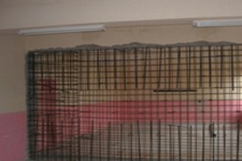 İstanbul İl Özel İdaresi kamu binalarını güçlendiriyor!