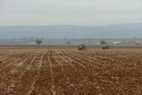 Tekidağ'da 600 bin TL'ye satılık tarla!