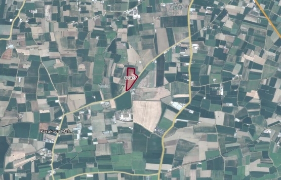 Ödemiş'te 7,7 milyon TL'ye icradan satılık bağ evi ve tarım arazisi!