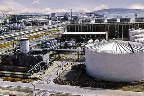 Petkim Aliağa Kompleksi'nde sadece SOCAR'ın tesis kurabilecek!