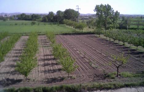 Taç Tarım Ürünleri A.Ş. 300 bin liraya arazi satın aldı!