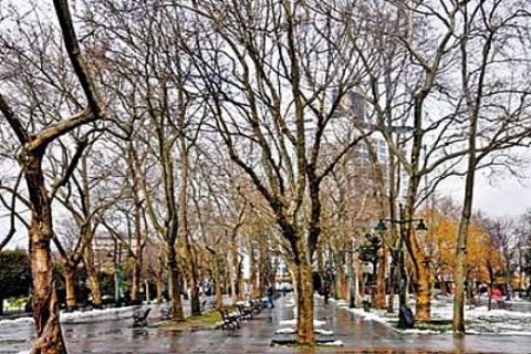 Taksim Gezi Parkı için mimarlar ve şehir plancıları harekete geçti!