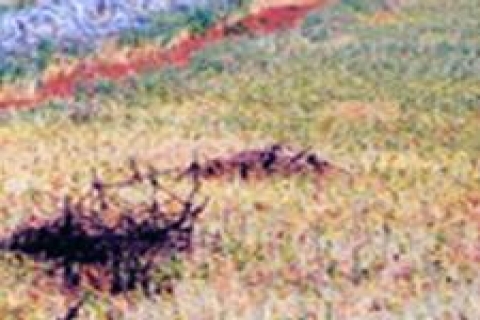 Sadece Bahreyn değil 5 ülkeyle daha anlaşıldı