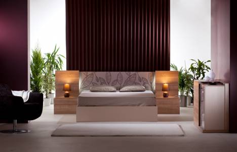  Verelli büyükşehirlere bayilik verecek!