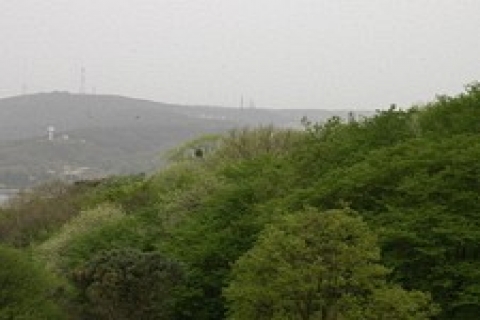 çukurova'nın satacağı Yeniköy Korusu'nda yapılaşma mümkün!