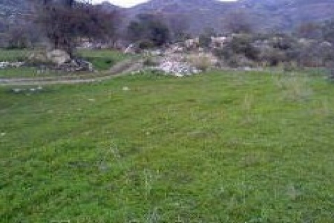 Tirebolu'da satılık 2 bin 314 metrekare arsa!