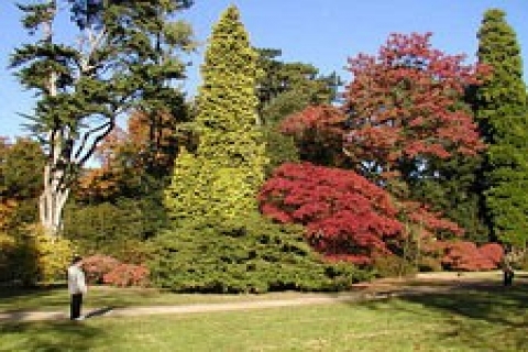 Esenler yeşil alan ihtiyacını arboretum kurarak karşılayacak!