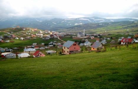 Ordu Çambaşı Yaylası'na butik tatil köyü yapılacak!