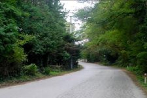 Polonezköy'de yapılaşma tehlikesi!