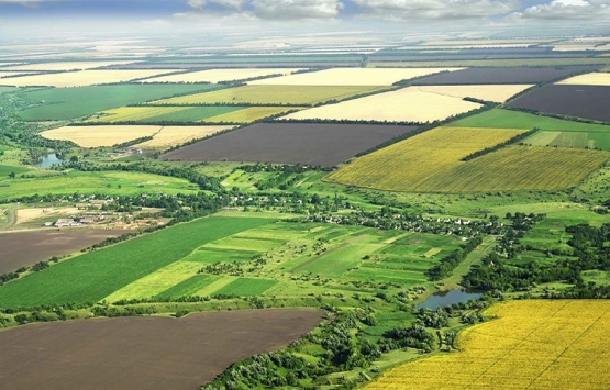 Hazineye ait tarım arazileri çiftçiye satılabilecek!