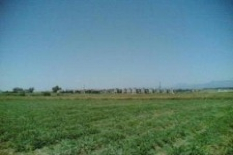 Kahramanmaraş Satış Memurluğu'ndan 828 bin TL'ye 2 arsa!