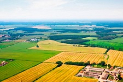 Beykoz ve Arnavutköy'de arsa satışı yüzde 1700 arttı!