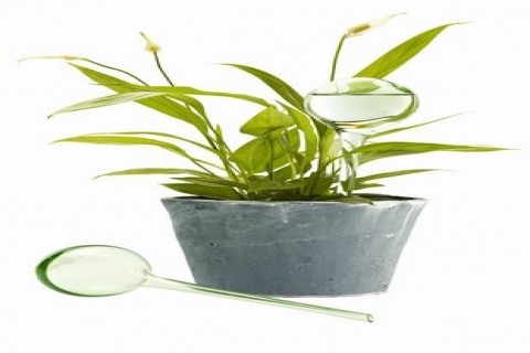 Tchibo dan Doğayı Evinize Taşıyın koleksiyonu!