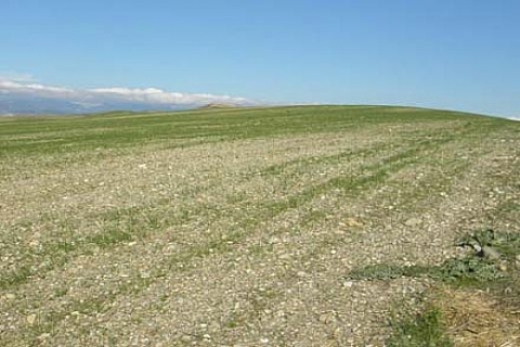 Emlak satın almadan önce kentin büyüme yönüne dikkat!