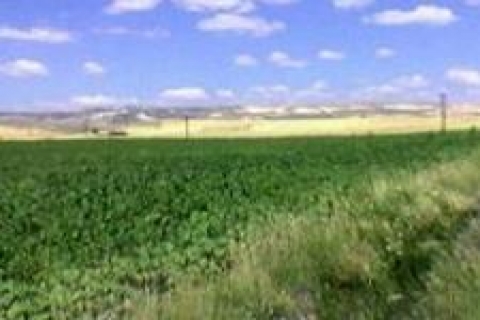 İBB Kağıthane'de arsa satacak