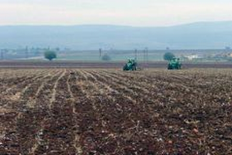 Vakıflar, Adana Karaisalı'da 78 tarla satacak