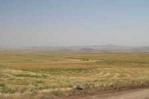 Niğde Defterdarlığı 'ndan satılık arazi!