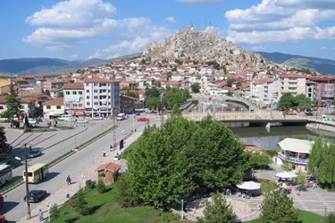 Tokat Turhal Malmüdürlüğü'nden satılık arazi! 900 bin TL'ye!