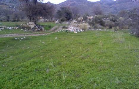 Milas'ta satılık 3 arsa: 7 milyon liraya!