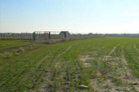 Re/Max'tan Kartal'da satılık arazi!