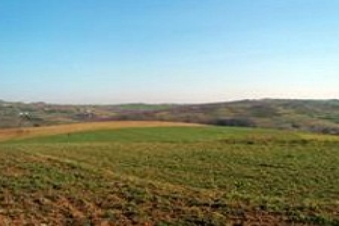 Giresun'da satılık bin 450 metrekare arsa!