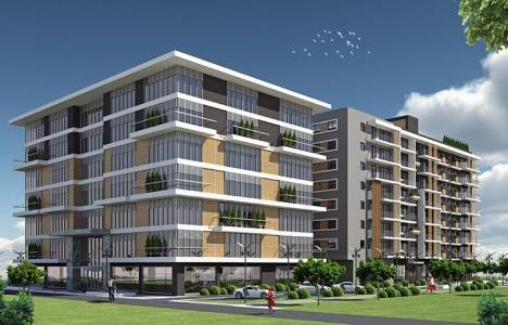 İzmir Egesel Bayraklı Office!