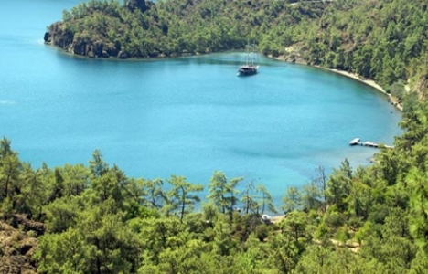 Korunan alanlar yönetmeliği