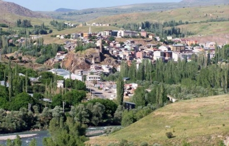 Muğla Ortaca'daki parsellere ait değerleme raporu!