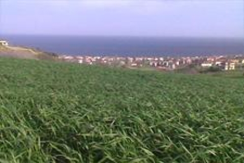 Şeker Sanayii Mensupları Vakfı 2 adet arsa satacak!