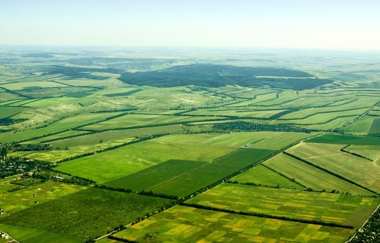Arazi toplulaştırmalarından önce uzlaşma yapılmalı!
