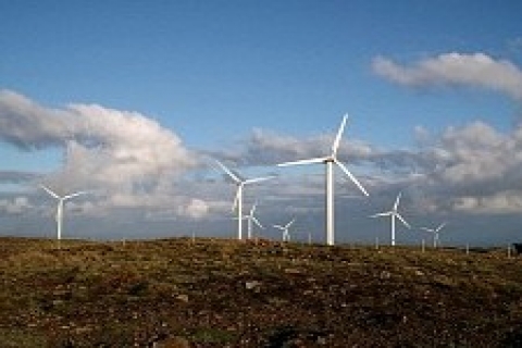 Gizem Enerji EPDK'ya başvurdu