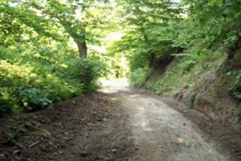 Pendik'te icradan 3 milyon 351 bin TL'ye satılık bağ tarla!