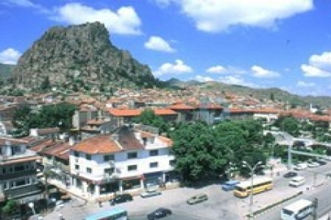 Afyonkarahisar Belediyesi 'nden satılık 2 işyeri!