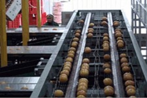 İzmir'de icradan 4 milyon 69 bin TL'ye narenciye tesisi!