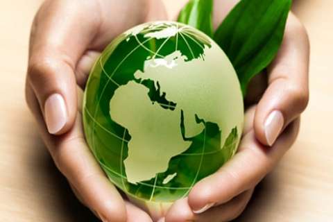  Soyak'tan Çevre Günü kutlaması: Doğanın kalbinde her zaman imzamız olacak! 