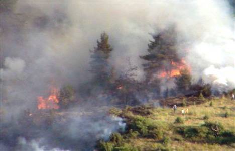 Bilecik Kösedere'de orman yangını çıktı!
