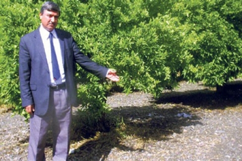 2B'de rayiç bedeller korkutuyor: Bedel çok yüksek arazimizi başkaları alacak!