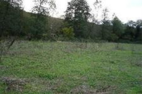 İBB Eyüp'te arsa satacak!